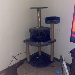 Cat Tower 