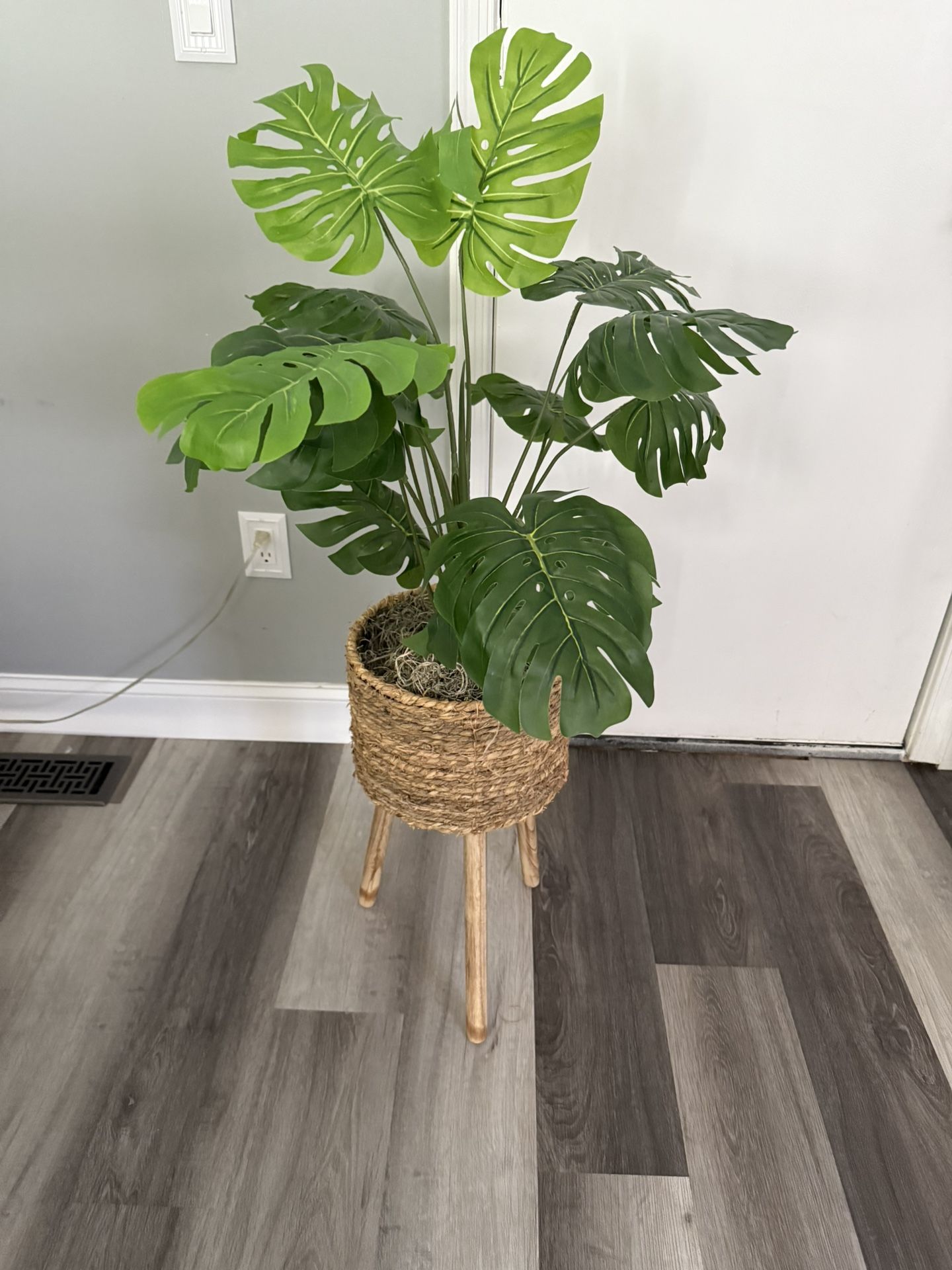 Plant Stand