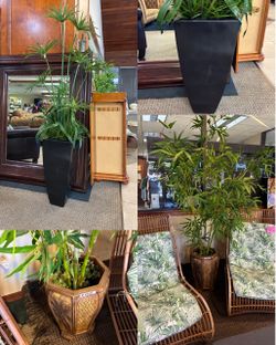 🌿 Tall Decorative Artificial Plants — $59.99 each! Add a touch of greenery to your home or office without the upkeep! These eye-catching plants come