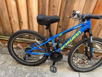 24in Schwinn Thrasher