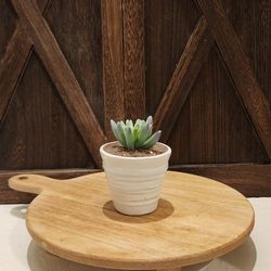 Handmade Ceramic Succulent 