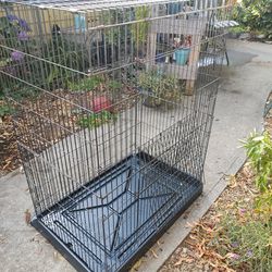 Large Bird/Critter Cage
