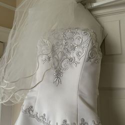 David’s Bridal Preserved Wedding Dress