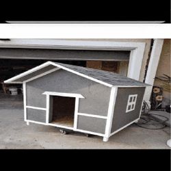 rich will Make the Ultimate Dog Home - Style and Comfort Merged