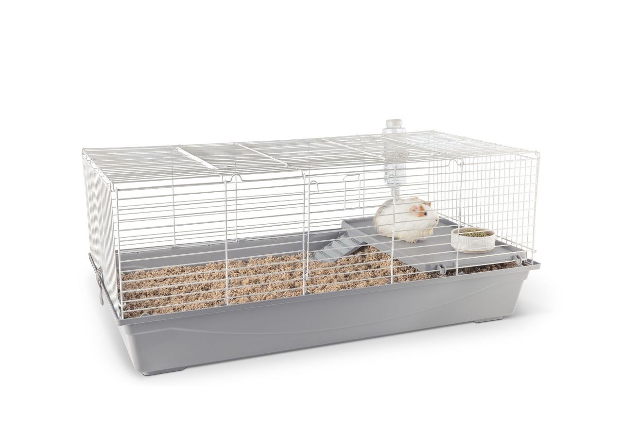Guinea Pig Cage Read Description