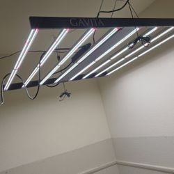 9 LEFT! Gavita Pro 1700e LED- FULL SPECTRUM! LIKE NEW! $350 Each OBO! Must Go NOW!