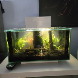 Fluval Edge 6 Gallon Forest Oasis - (Collectible Item)