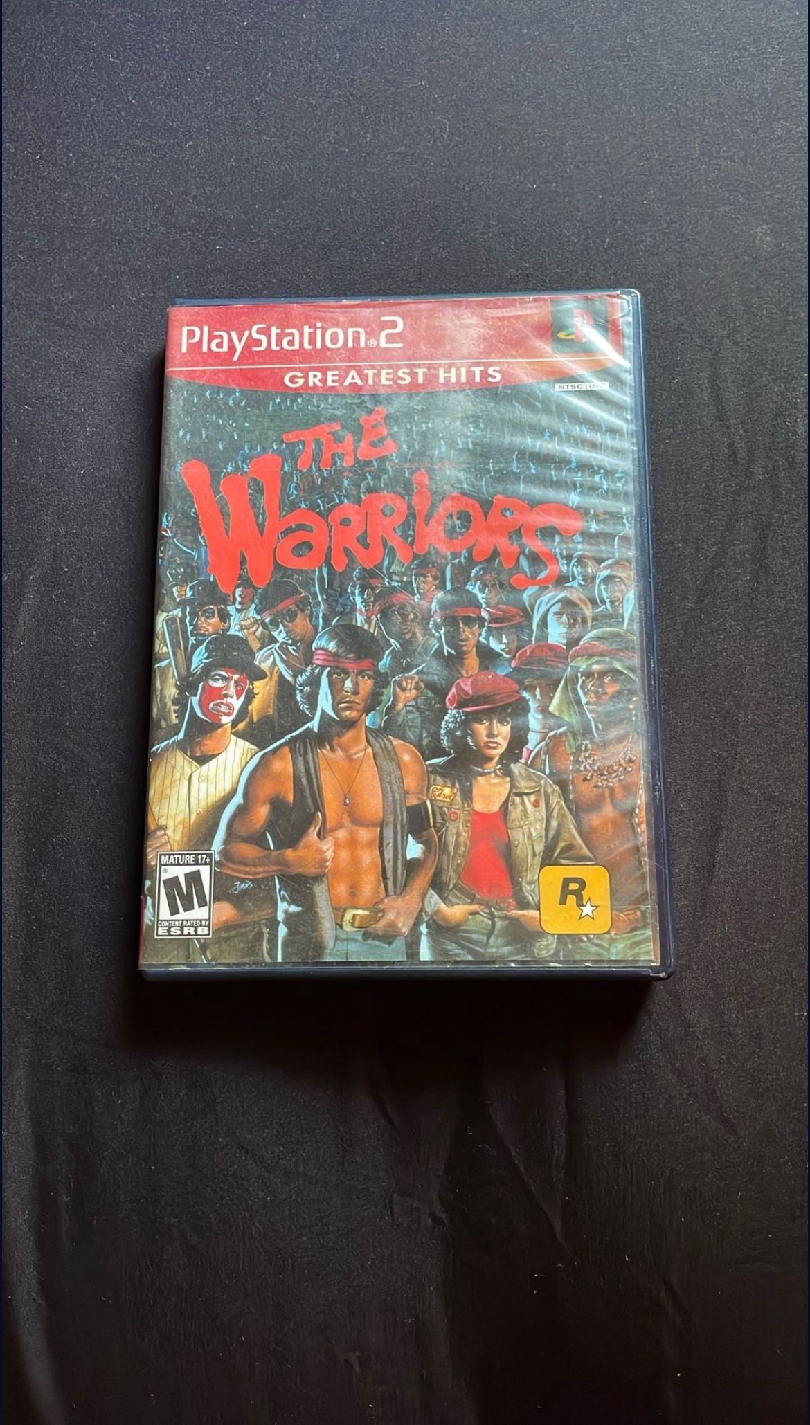 Ps2 The Warriors