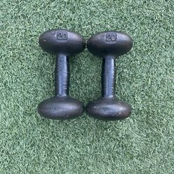 20 Pound Dumbbells 