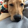Erik