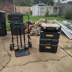 Dewalt Tough System And Carrier