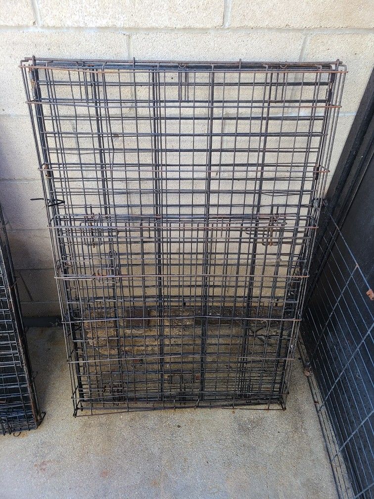 Large Dog Kennel