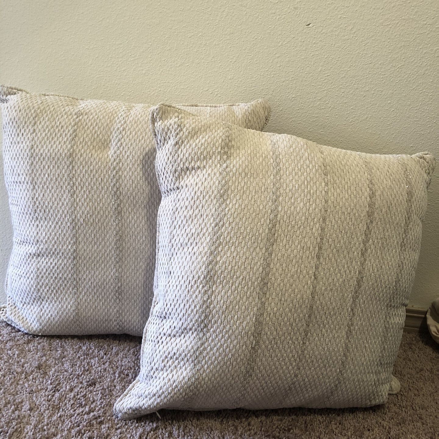 2 Decorative Pillows Give Your Best Price !