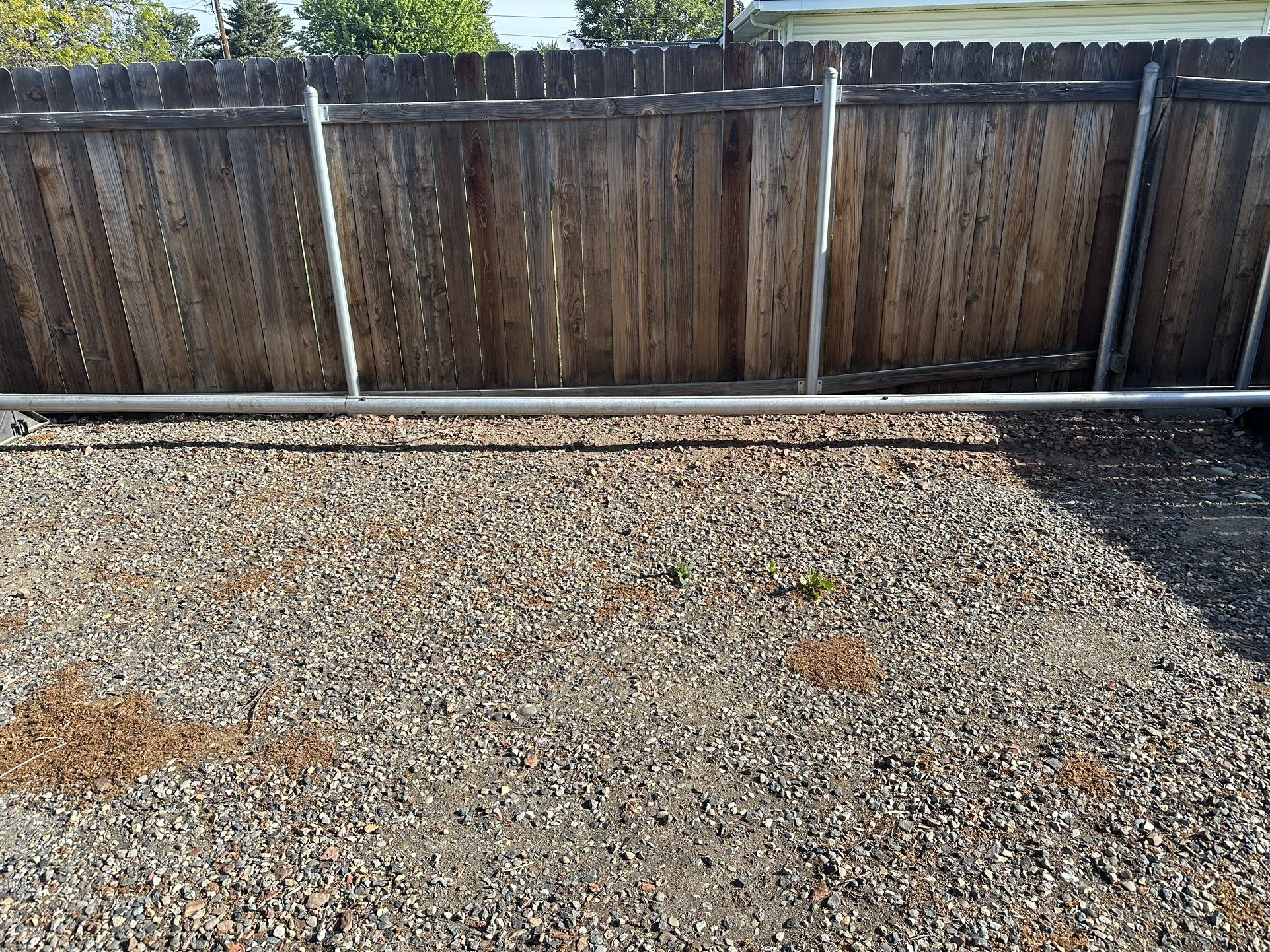 Free Pool Reel