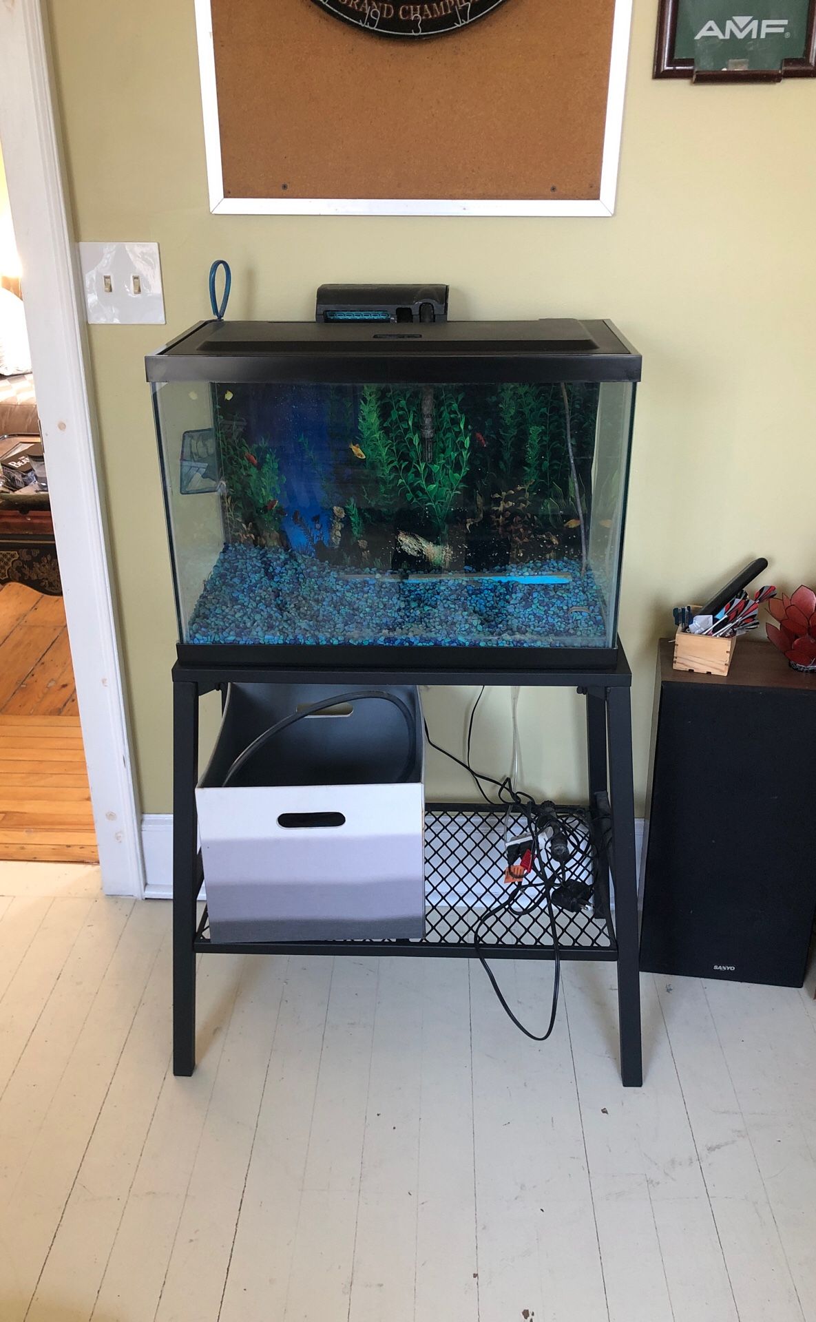 Fish tank with stand a some supply’s