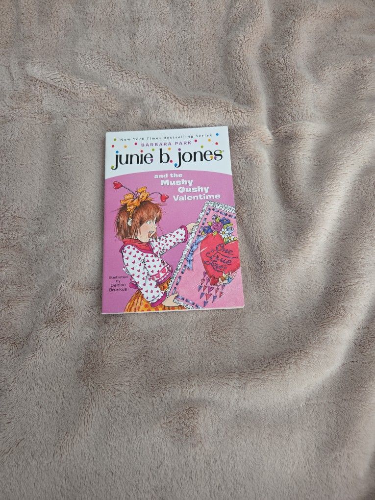 Junie B Jones And Mushy Gushy Valentines