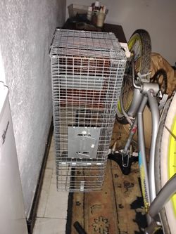 Live varmint trap