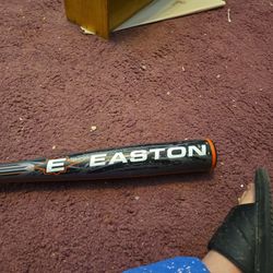 Adult Baseball Bat
