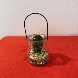 Faux Cactus Plant & Stones In Glass w/ Handle | Artificial Cactus In a Jar | Decor
