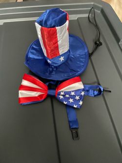4th of July/american costume for dog