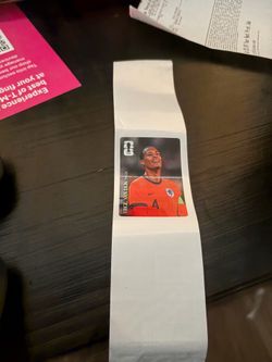 Panini fifa wc sticker
