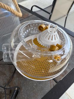 Egg Incubator