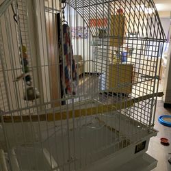 Bird Cage