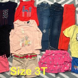 Toddler Girl Clothes Size 3T