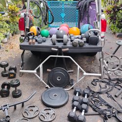 VARIETY  OF  WEIGHTS  : DUMBBELLS (RUBBER & STEEL)  /  PLATES  /  BARS :  (5'/6'/7 FOOT /EZ CURL ) /  KETTLEBELLS :  (10s-50s)  /  MEDICINE  BALLS  