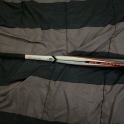 Baseball Bat
