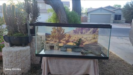 Terrarium
