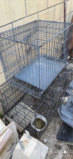 Cages different sizes