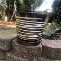 Small Vase