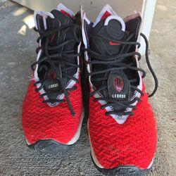 LeBron LeBron Nike 8.5 8.5 8.5 8.5 8.5 8