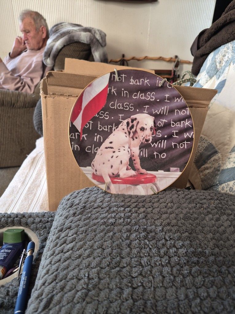 This Is A Collection Plate. I Will Bark In The Glass.1996