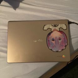 Chromebook