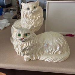 (Doll) Cats