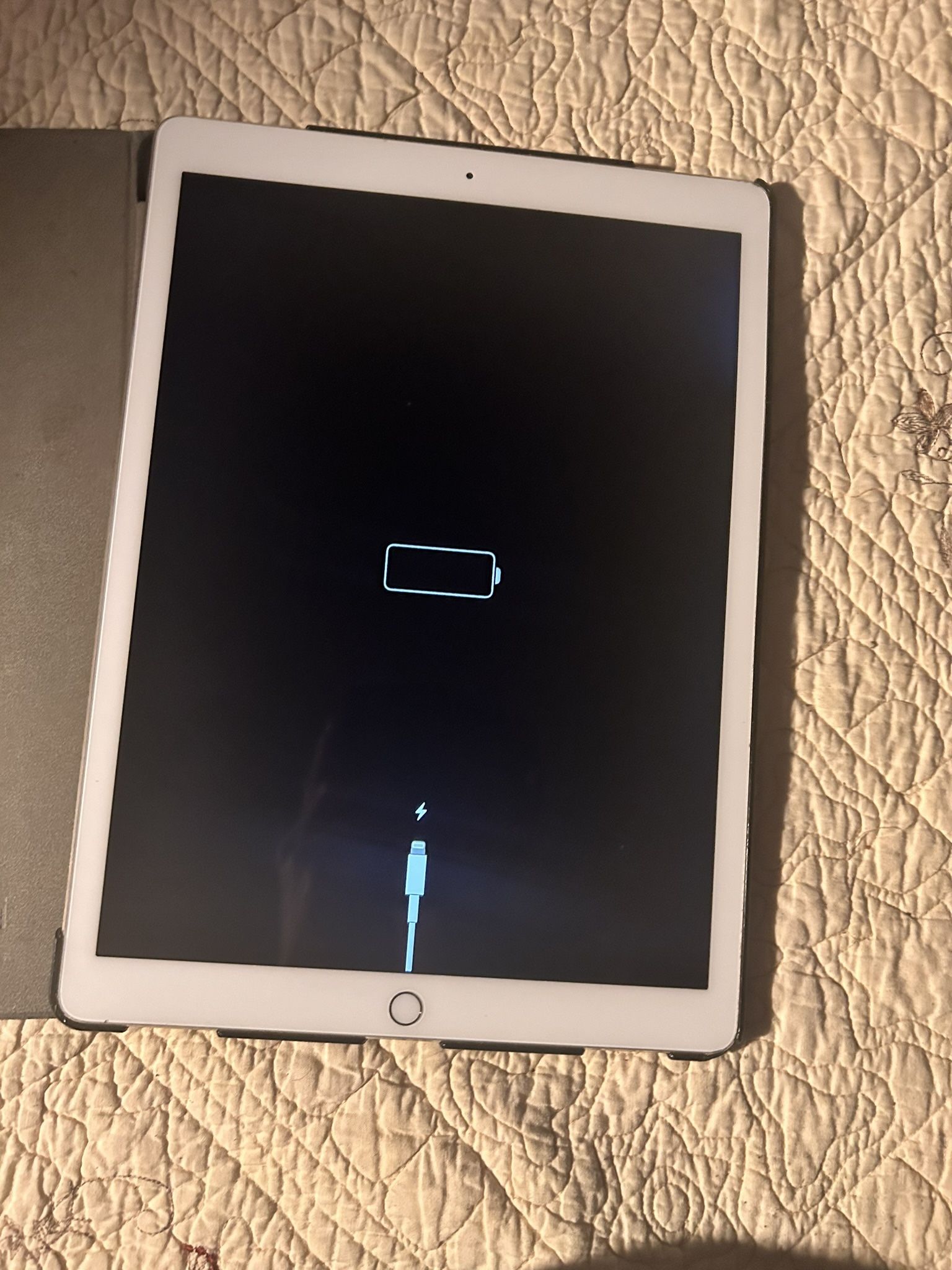 iPad Pro 12.9 1st Gen 