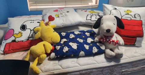 Snoopy set