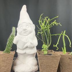 Gnome And Plants 