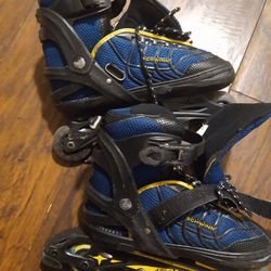 Schwinn skates adjustable sz5-8
