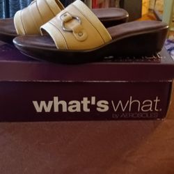 Ladies Sandals By What's What.   (Size 6)