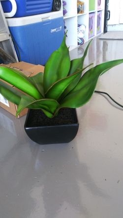 Artificial plant