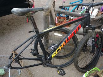 Schwinn Bike Frame