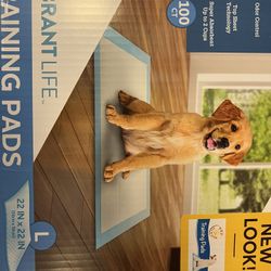 Potty Pads