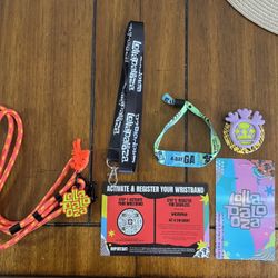 Lollapalooza 4 Day GA Pass