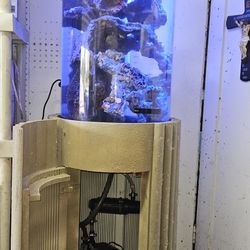 Fish Tank  