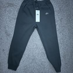 ALO gray sweatpants 