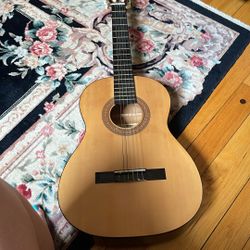 hohner guitar