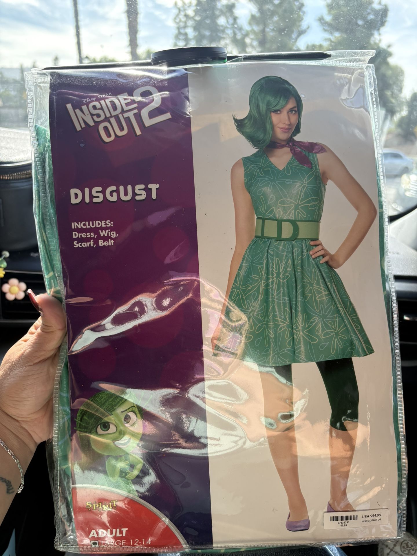 Disgust Adult Costume 